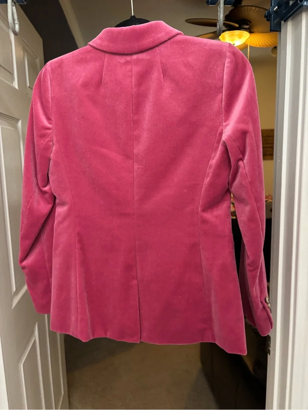 J. Crew soft velvet